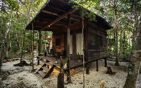 Chéel Cabañas&Camping