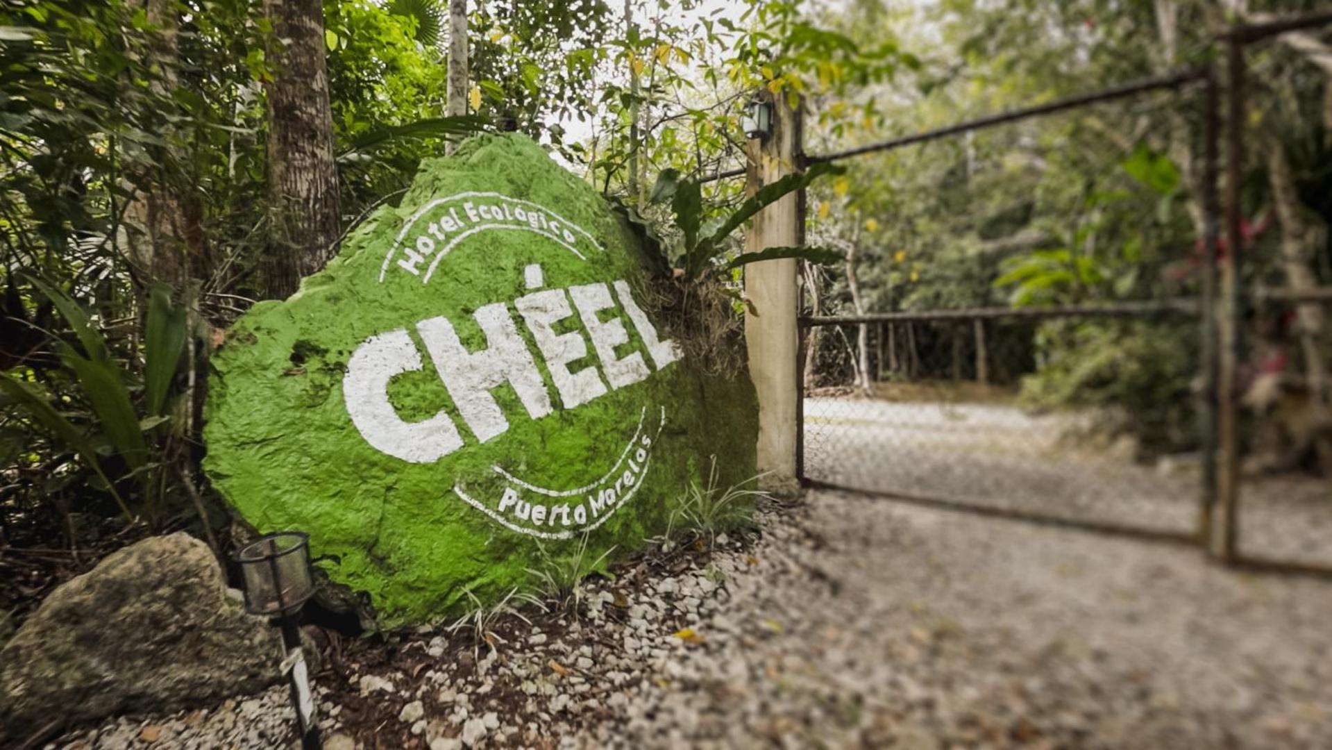 Chéel Cabañas&Camping Puerto Morelos Exterior foto
